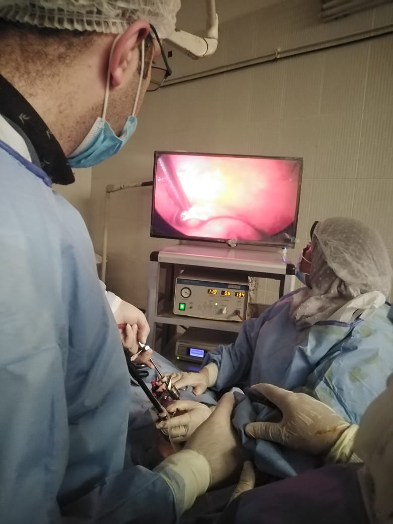 منظار طبي لسيدة ألمانية في منيا القمح