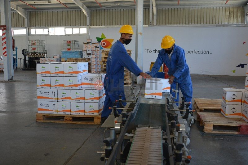 DSC_0175_copy_800x534_1