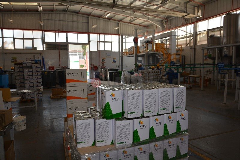 DSC_0166_copy_800x534_2