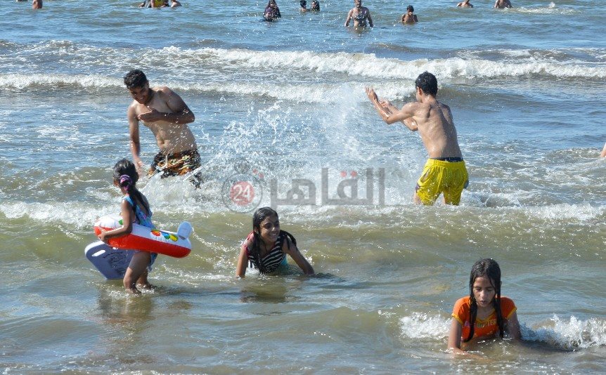 DSC_0226-01_copy_862x534