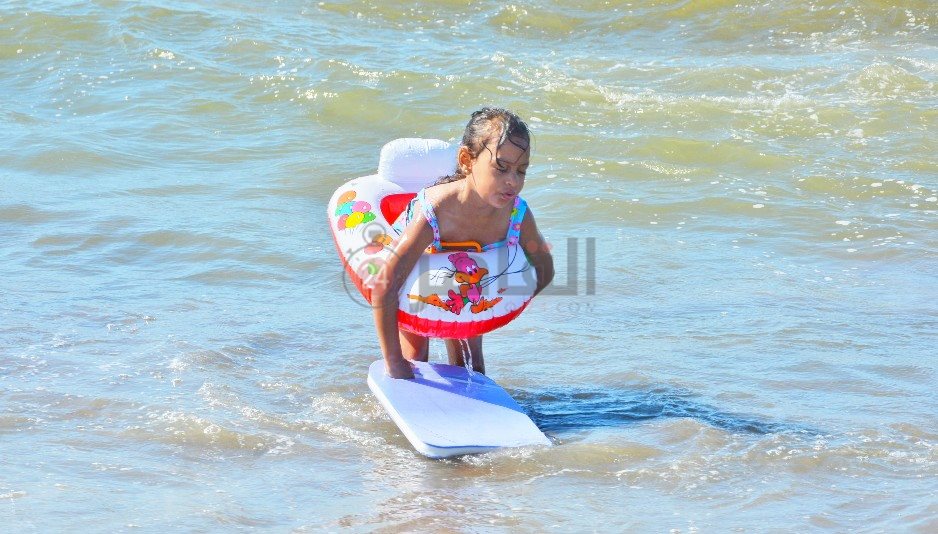 DSC_0227-01_copy_938x534