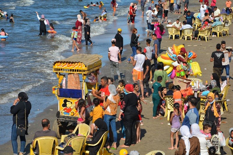 DSC_0264-01_copy_800x534