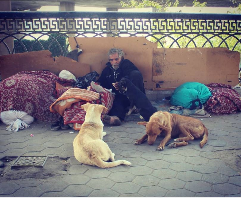 رجل بلا مآوى مع الكلاب