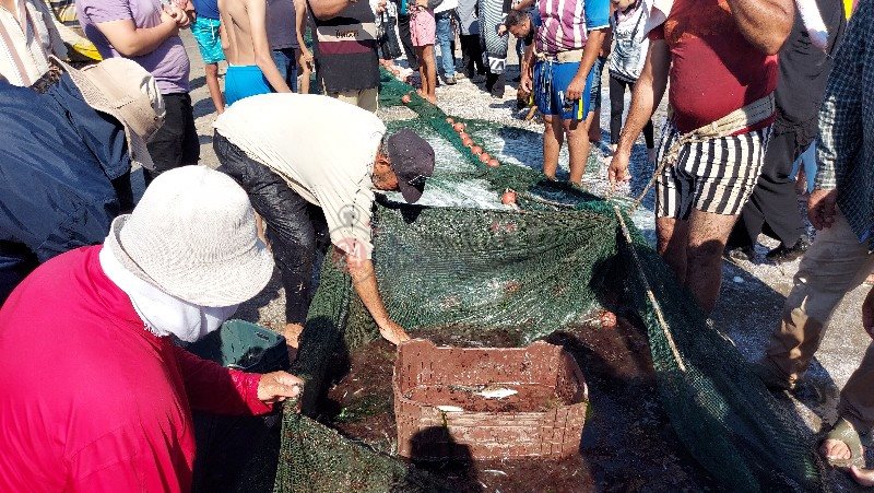 ٢٠٢١٠٦٢٤_١٥٢٦٤٧_copy_800x451