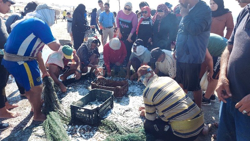 ٢٠٢١٠٦٢٤_١٥٢٩١٦_copy_800x451