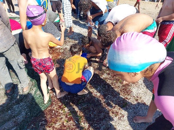 ٢٠٢١٠٦٢٤_١٥٣٢٥٧_copy_601x451