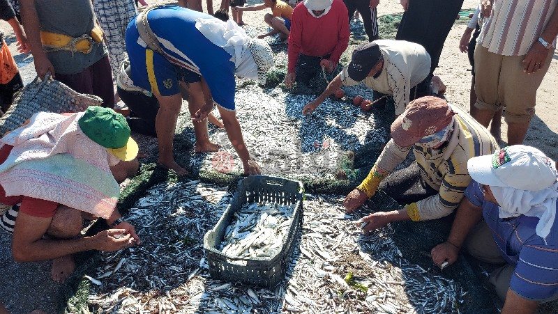 ٢٠٢١٠٦٢٤_١٥٣٤٠٢_copy_800x451