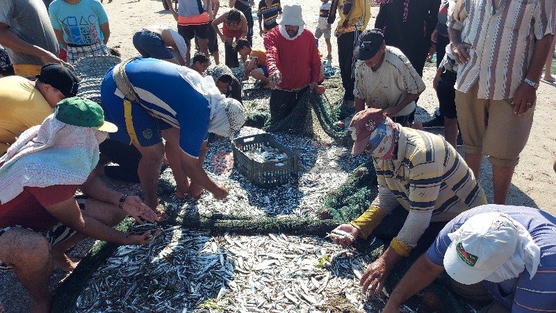 ٢٠٢١٠٦٢٤_١٥٣٣٤٥_copy_800x451