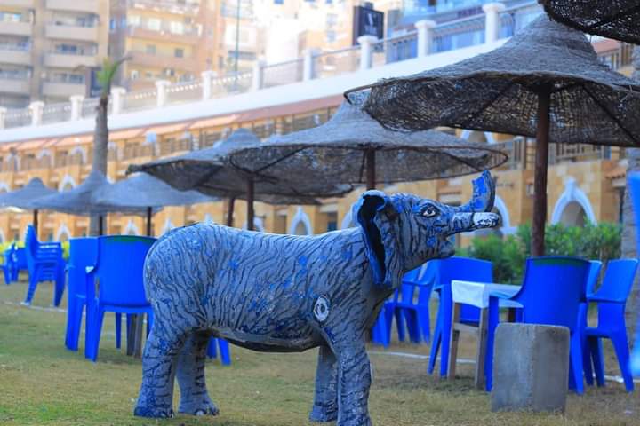 FB_IMG_1624576560660