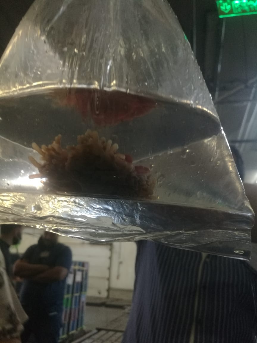 c68a0d61-4132-4007-8914-854d27e7f797