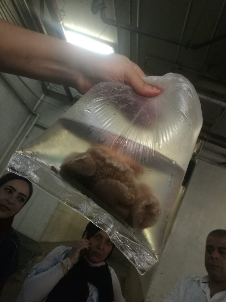 150a1308-f05c-4d9d-9e0a-9671c5c20de6