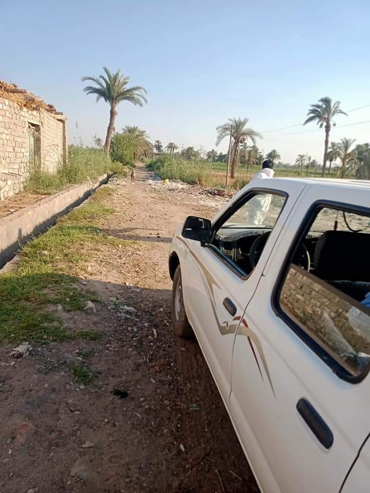 حملة لقتل الكلاب الضالة والمسعورة في الفيوم