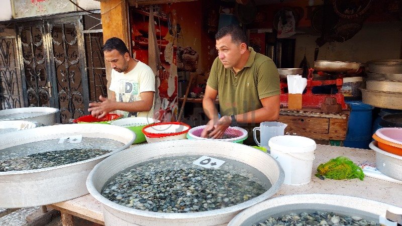 ٢٠٢١٠٦٣٠_١٧٥١٢٢_copy_800x450