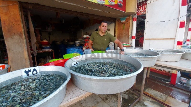 ٢٠٢١٠٦٣٠_١٧٤٤٢٨_copy_800x450