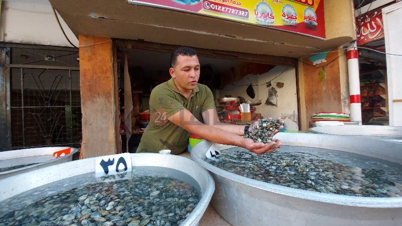 ٢٠٢١٠٦٣٠_١٧٤١٠١_copy_800x450