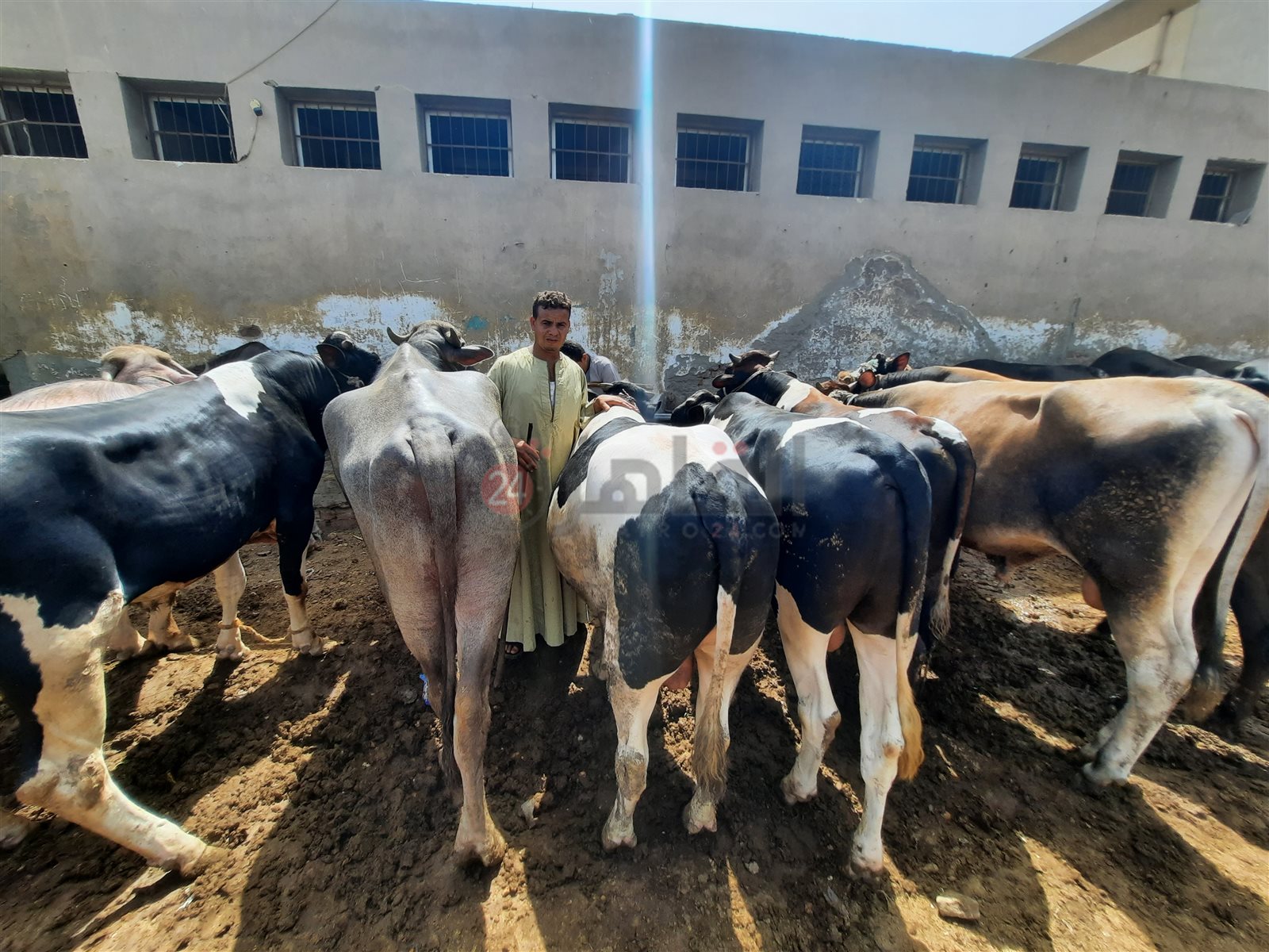 ٢٠٢١٠٧٠٣_٠٩٣٨٠٠