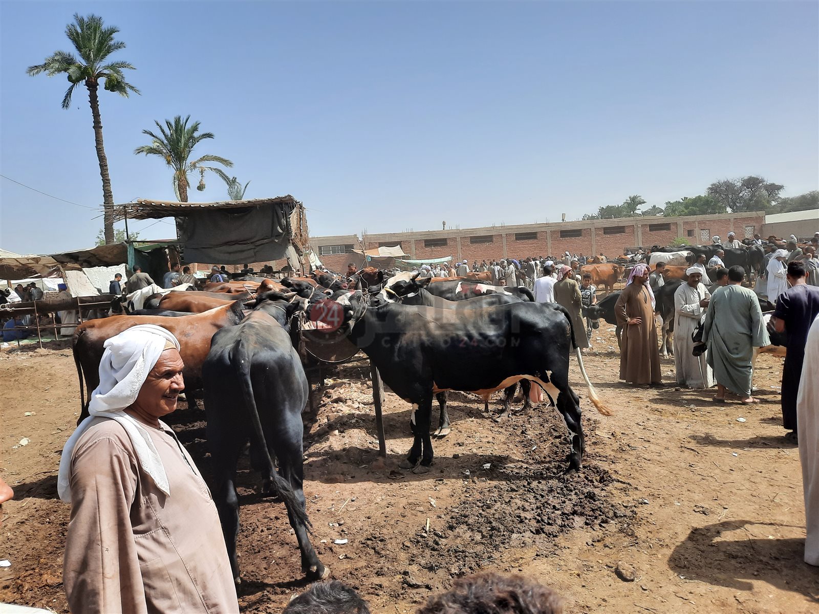 ٢٠٢١٠٧٠٣_٠٩٣٤٣٢