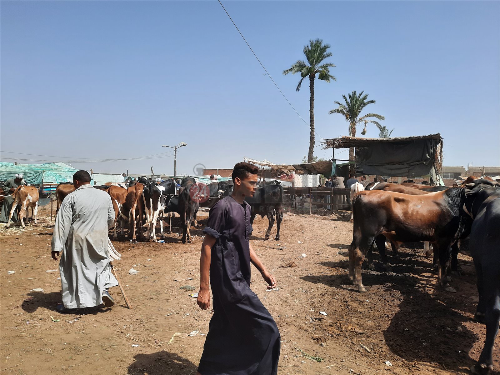 ٢٠٢١٠٧٠٣_٠٩٣٤٢٦