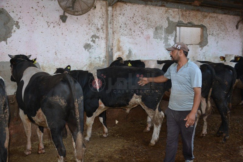 DSC_0150_copy_800x534