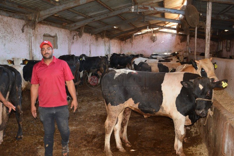 DSC_0151_copy_800x534