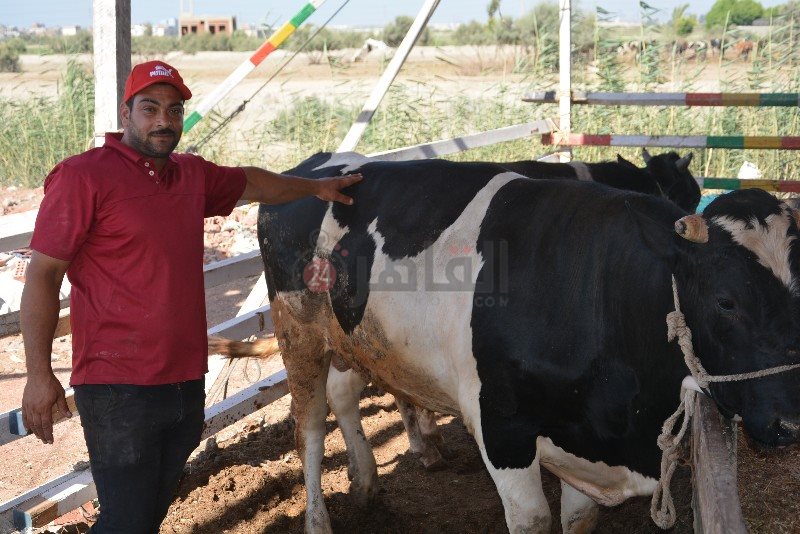 DSC_0145_copy_800x534