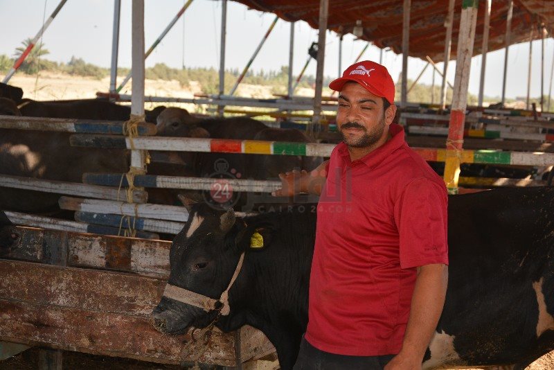 DSC_0146_copy_800x534