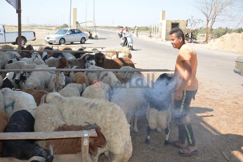 DSC_0142_copy_800x534