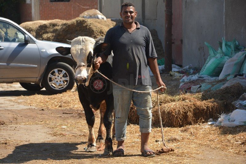 DSC_0143_copy_800x534