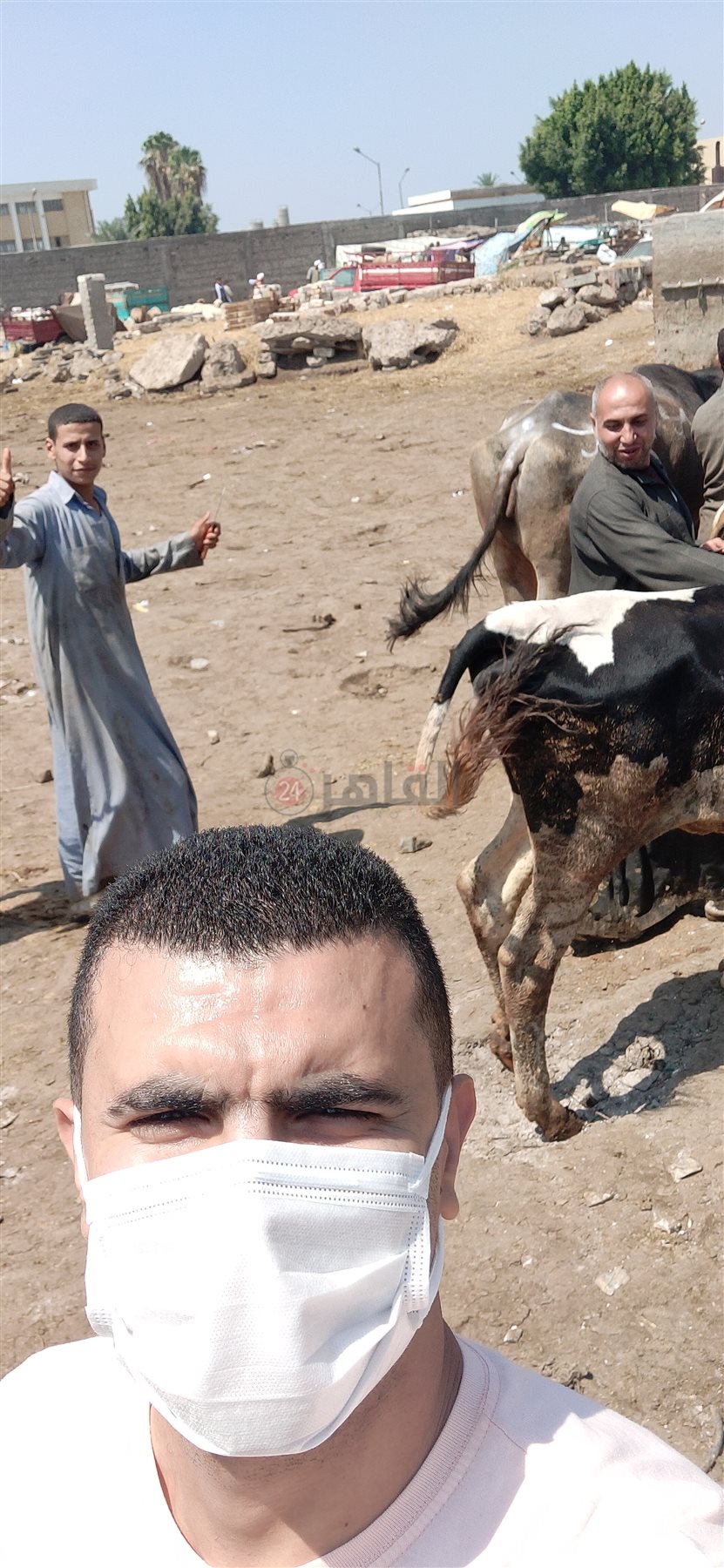 مراسل القاهرة 24 مع تجار المواشي في السوق