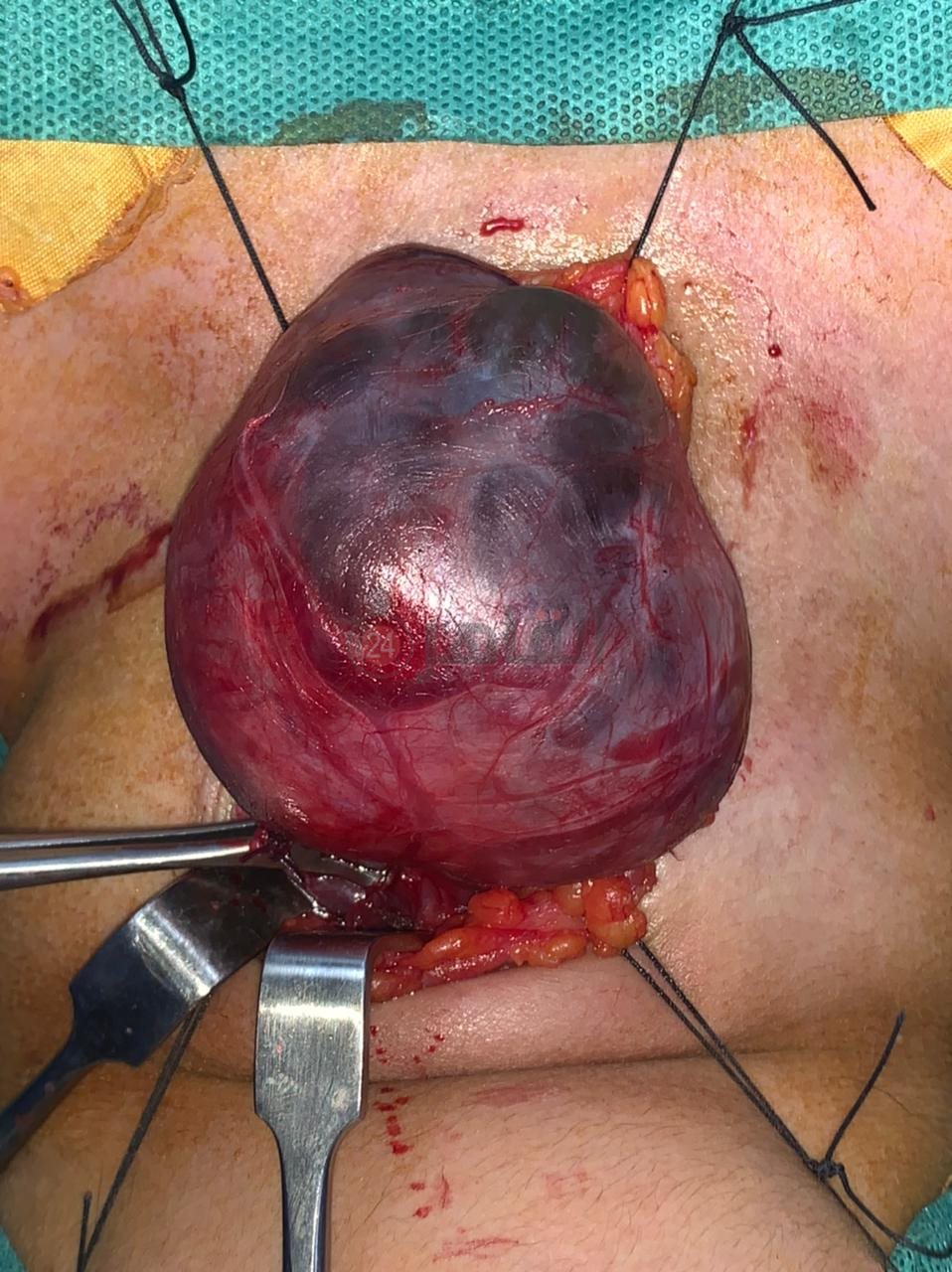 0c24c683-6ff2-46b4-bf81-168737395b00