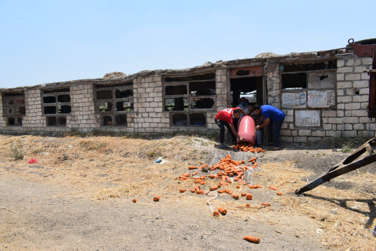 ضبط وإعدام أغذية فاسدة بالشرقية 10