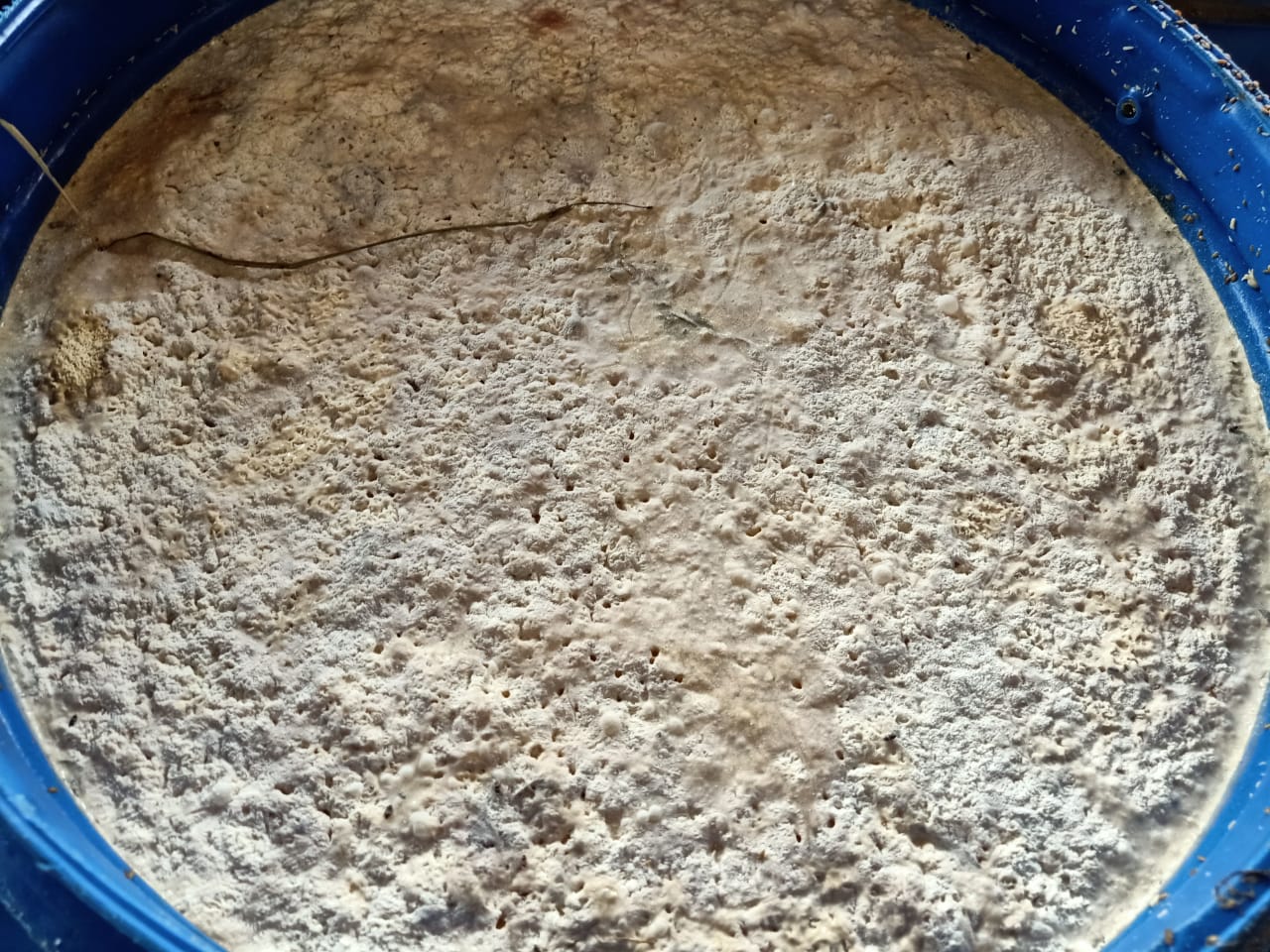 ضبط وإعدام أغذية فاسدة بالشرقية 16