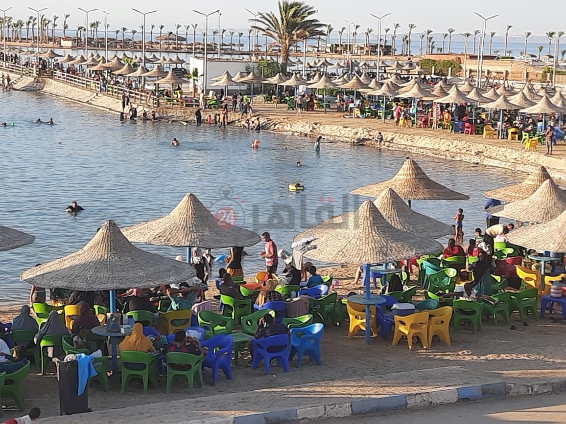 a91e4a28-5b03-4e87-b20f-36019572b2ba