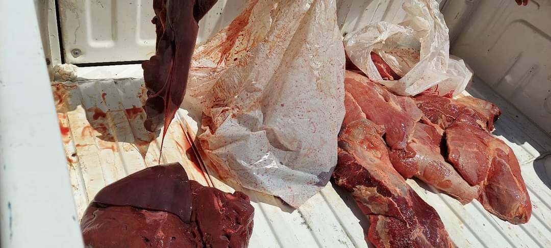 FB_IMG_1626100491505