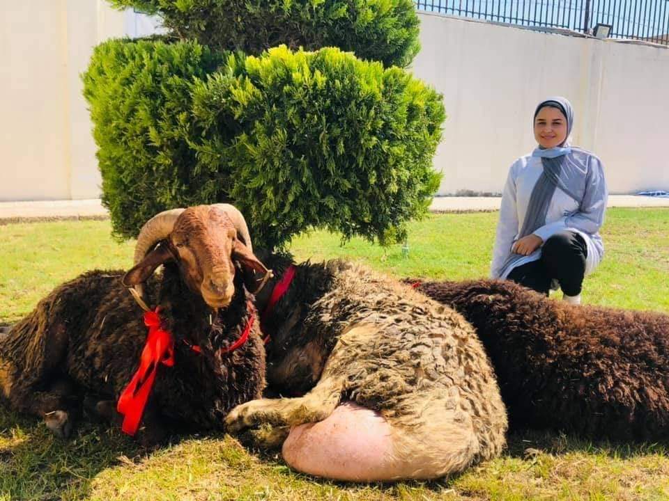 FB_IMG_1626127025724