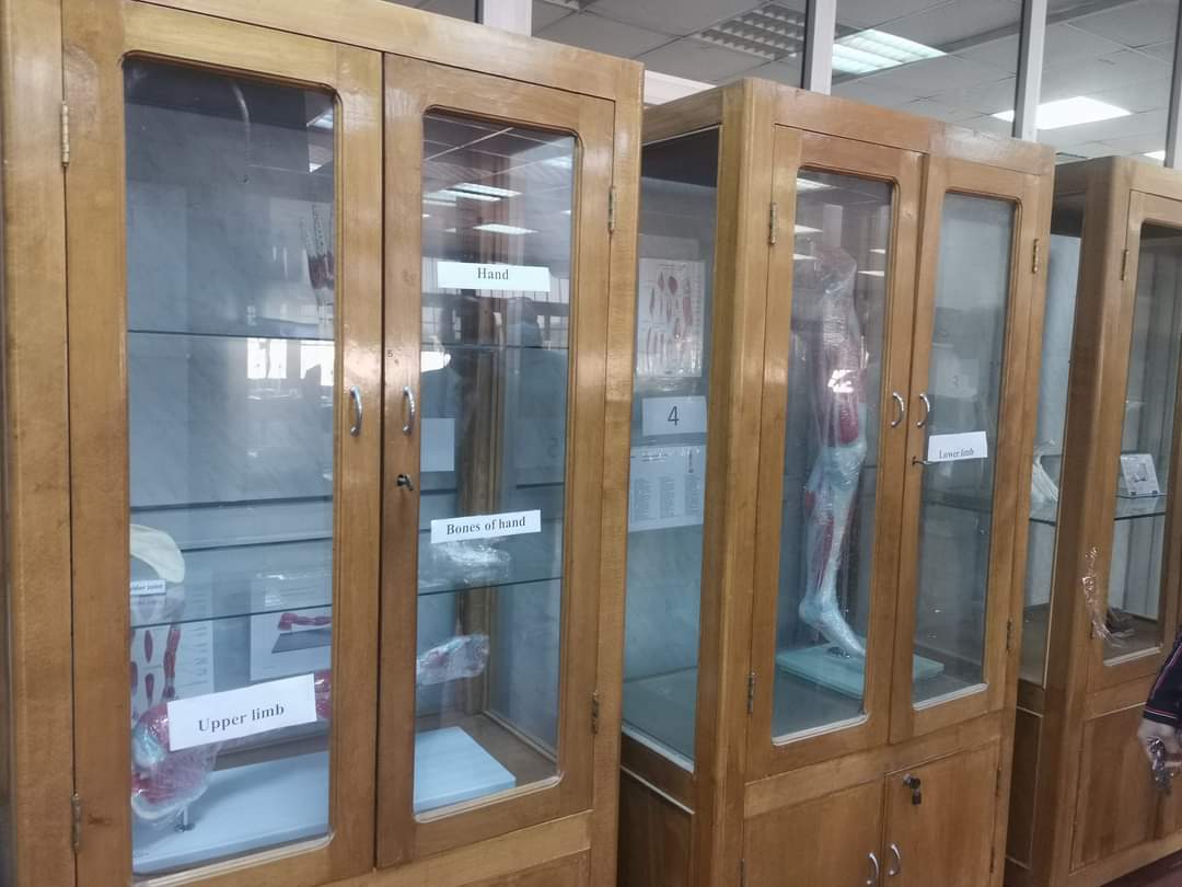 FB_IMG_1626164344771