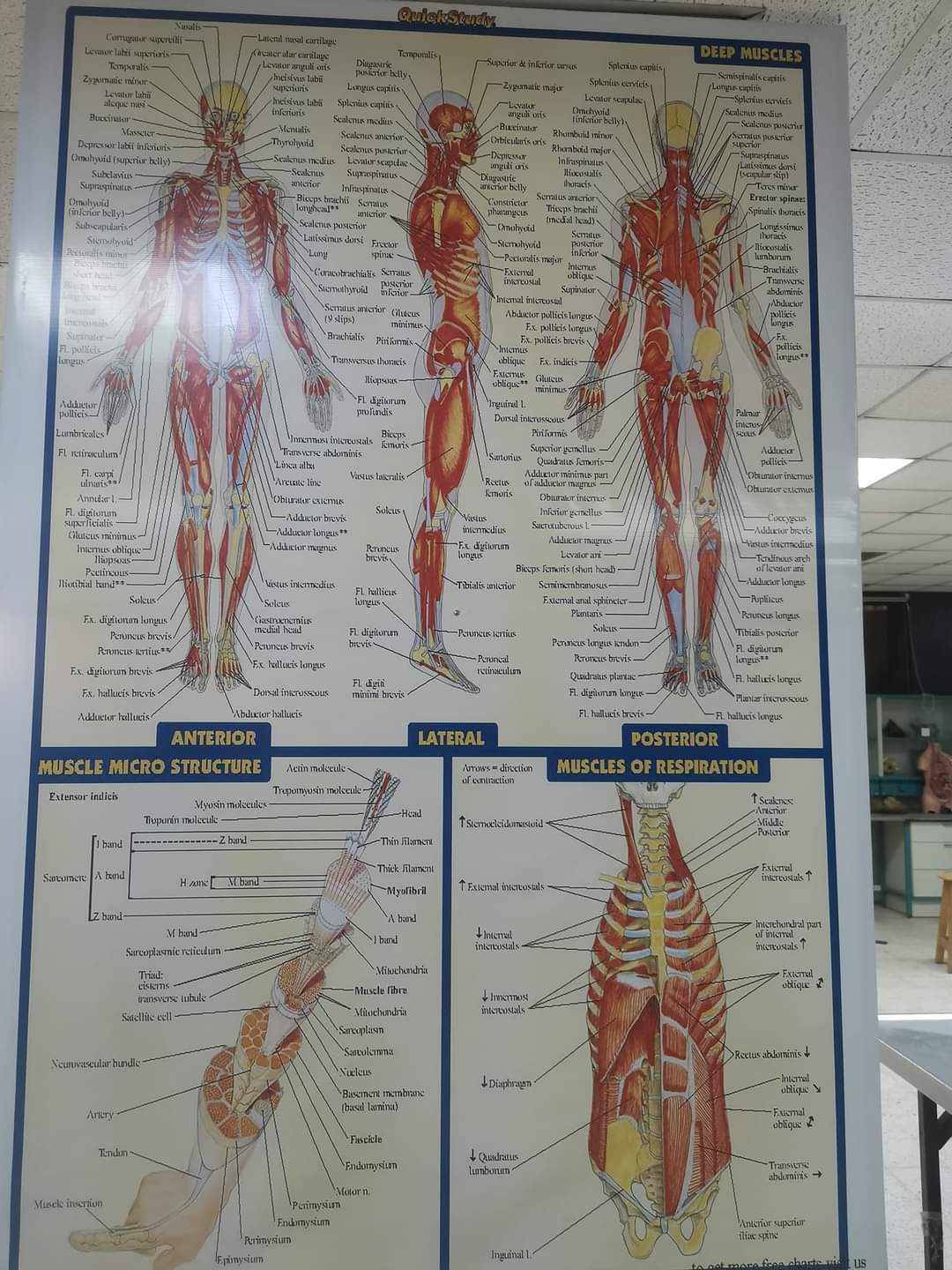 FB_IMG_1626164321356