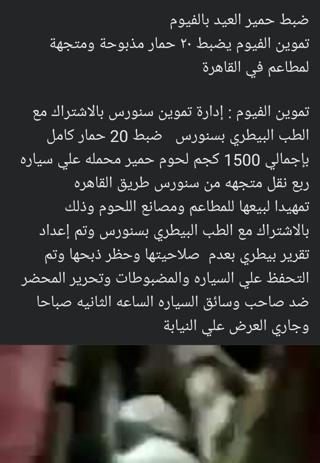 منشورات السوشيال ميديا عن الحمير المذبوحة في الفيوم