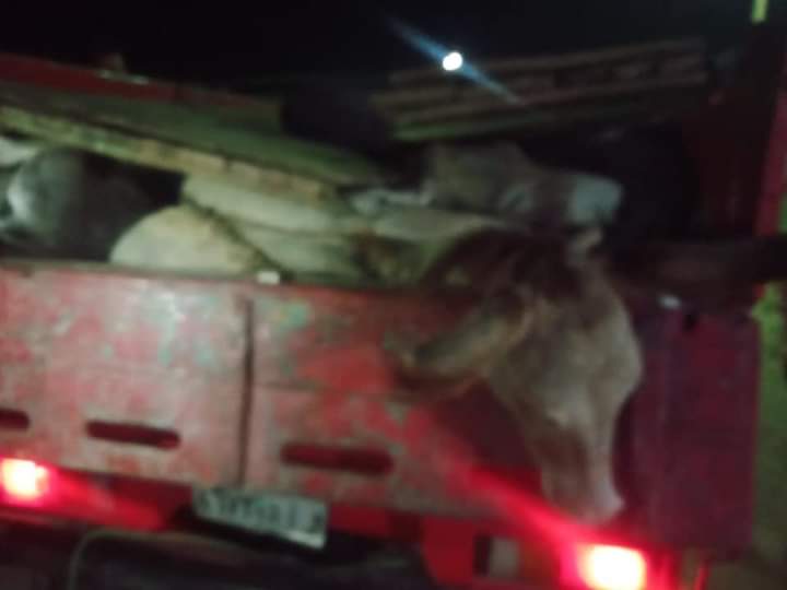 ضبط حمير مذبوحة مُحملة على سيارة ربع نقل