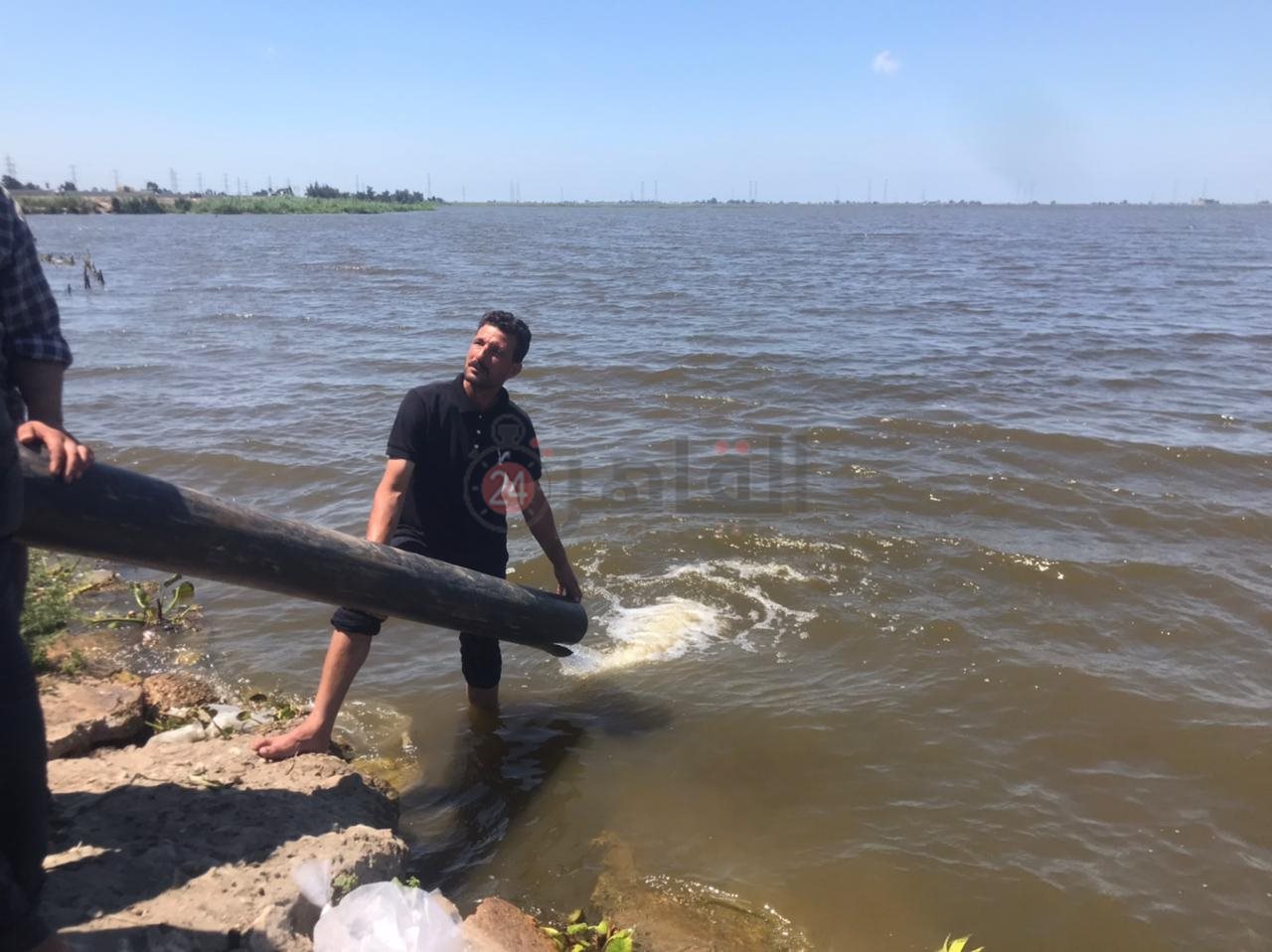 ضخ زريعة ببحيرة البرلس