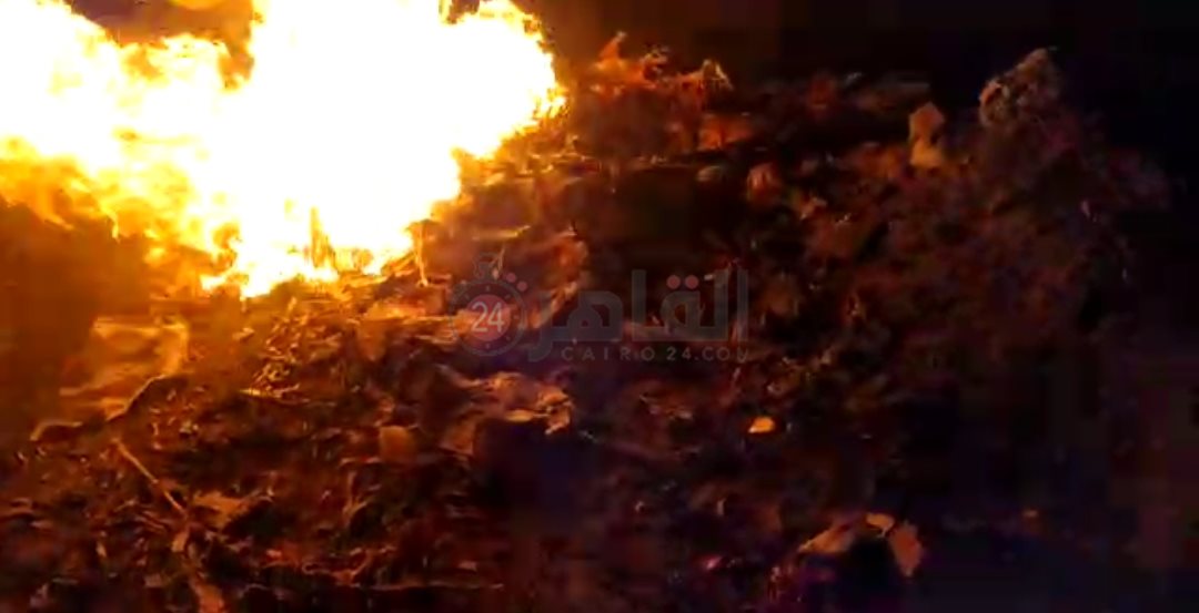 إعدام حمير مذبوحة وحيه في الفيوم