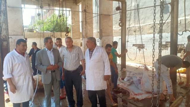 استعدادات المجازر الحكومية لاستقبال الأضاحي بالمجان في الشرقية 05