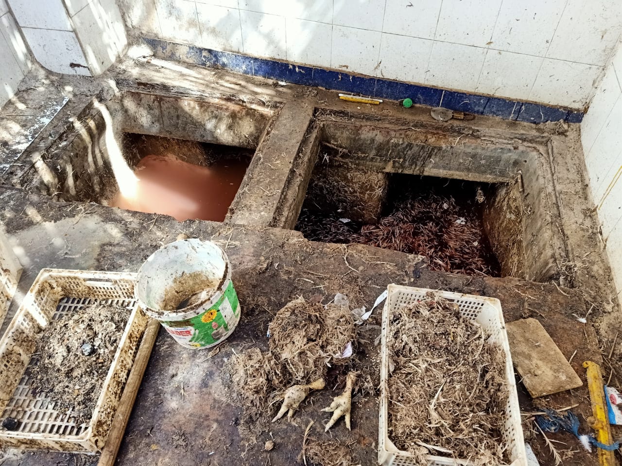 غلق مجزر دواجن مخالف بالشرقية 02