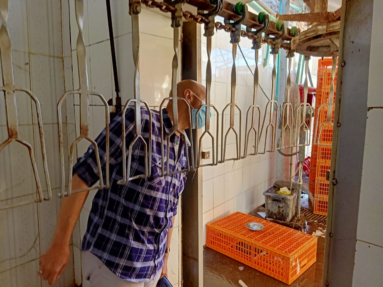 غلق مجزر دواجن مخالف بالشرقية 03