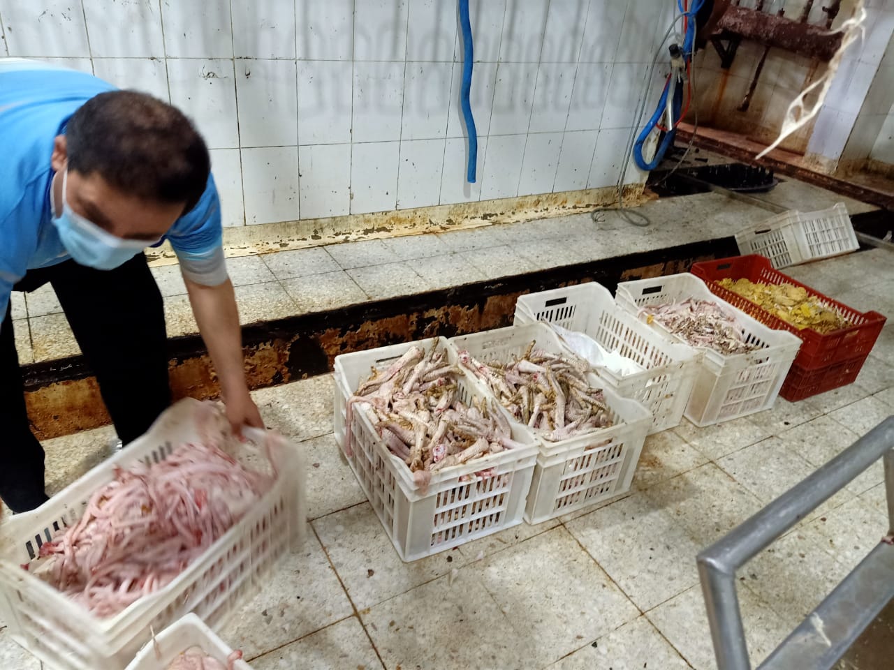 غلق مجزر دواجن مخالف بالشرقية 07