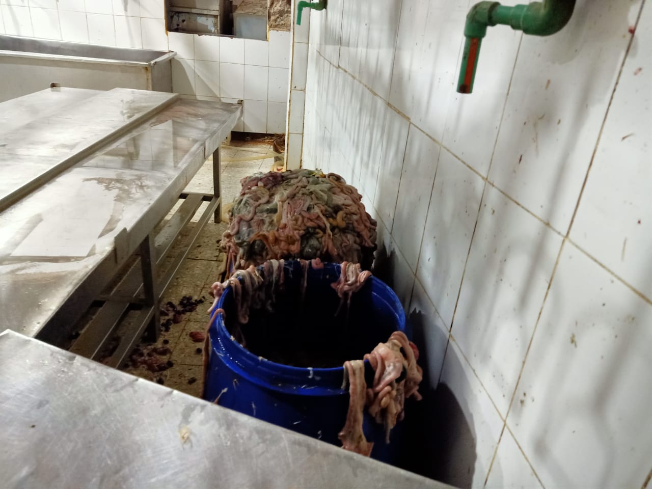 مجزر دواجن مخالف بالشرقية 02