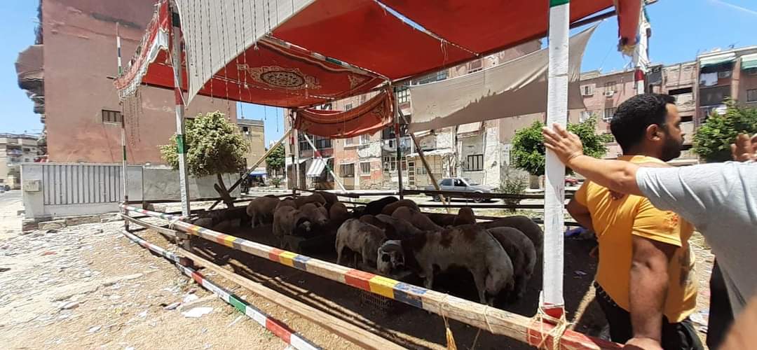 FB_IMG_1626521645576