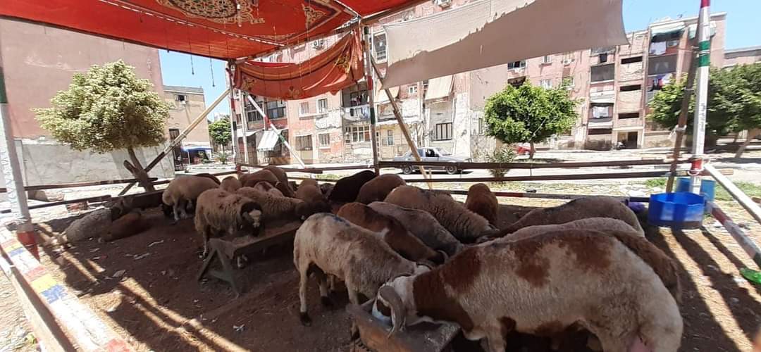 FB_IMG_1626521643635