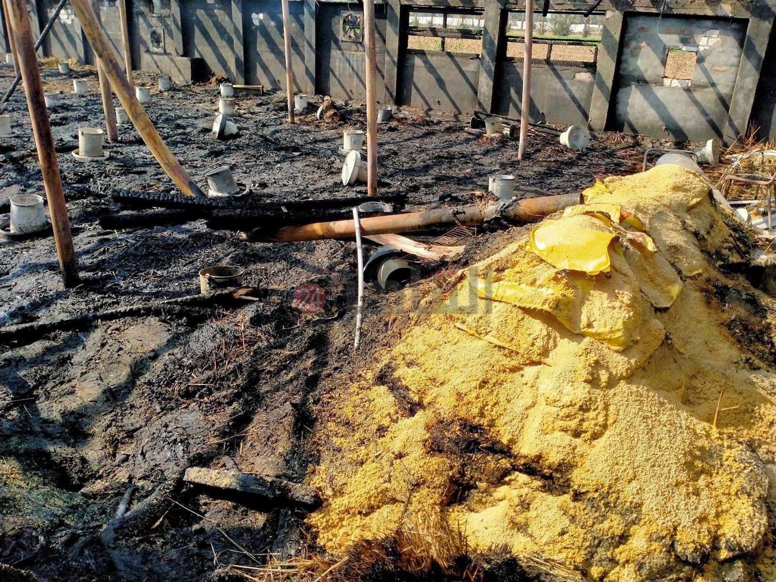 received_525036828614533