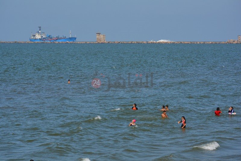 DSC_0190_copy_800x534